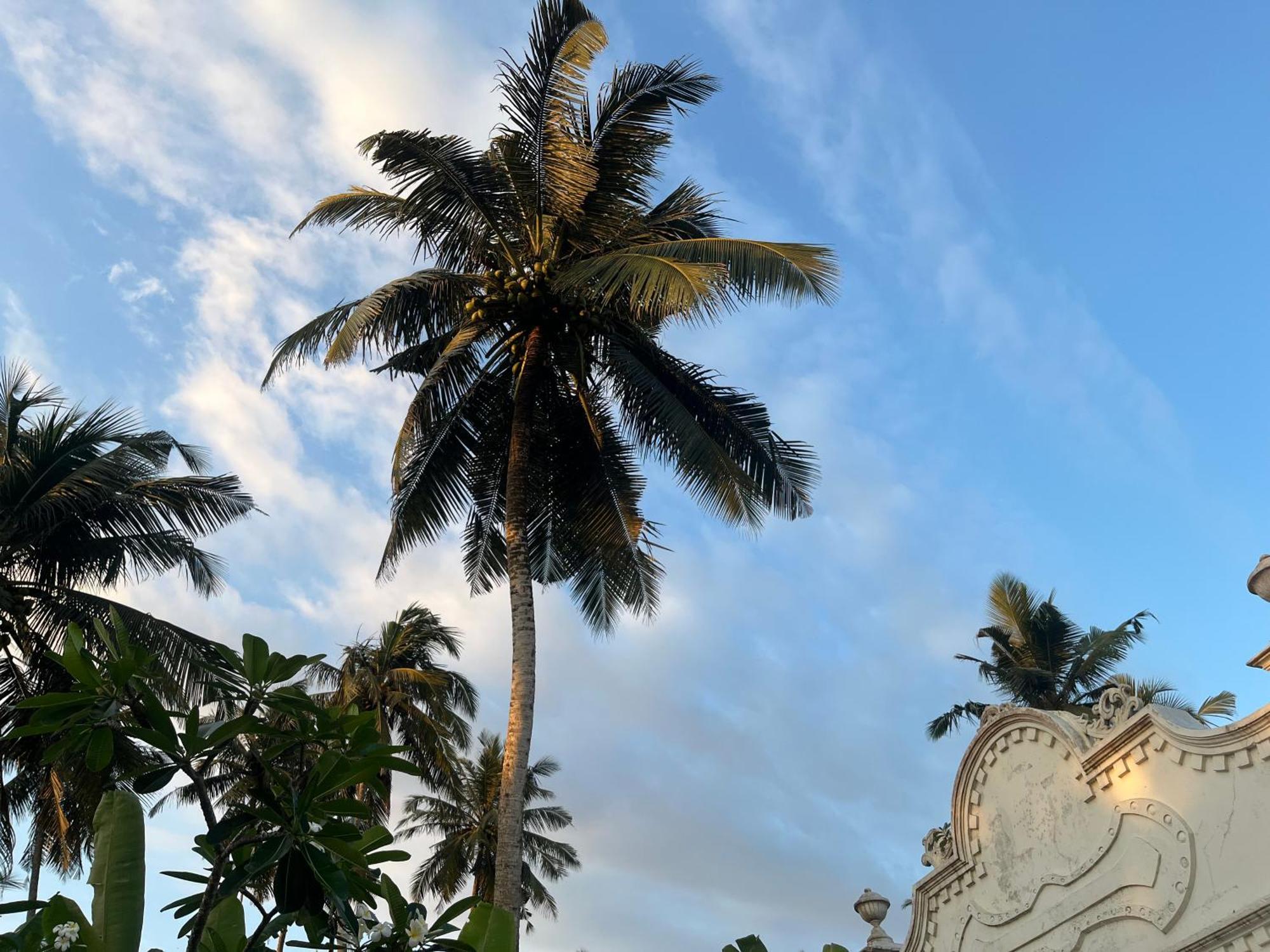 Samudrawasa Luxury Colonial Villa & Beach House Ambalangoda  Exterior photo